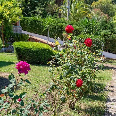Giraluna Holiday home Castellabate